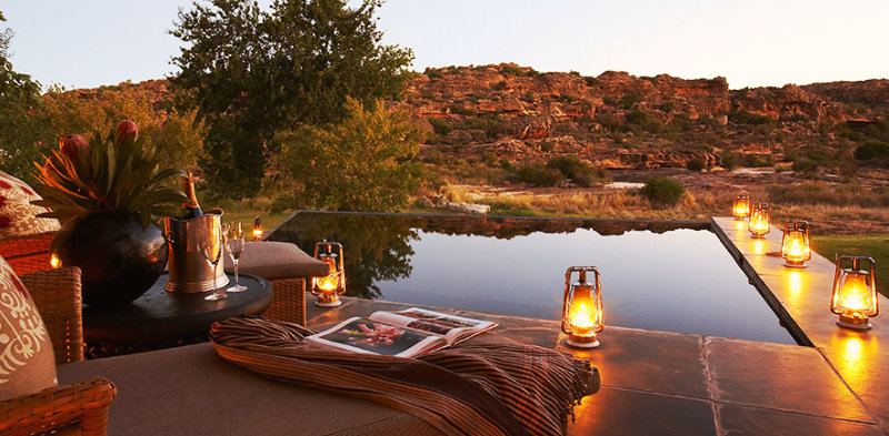 South African Safari